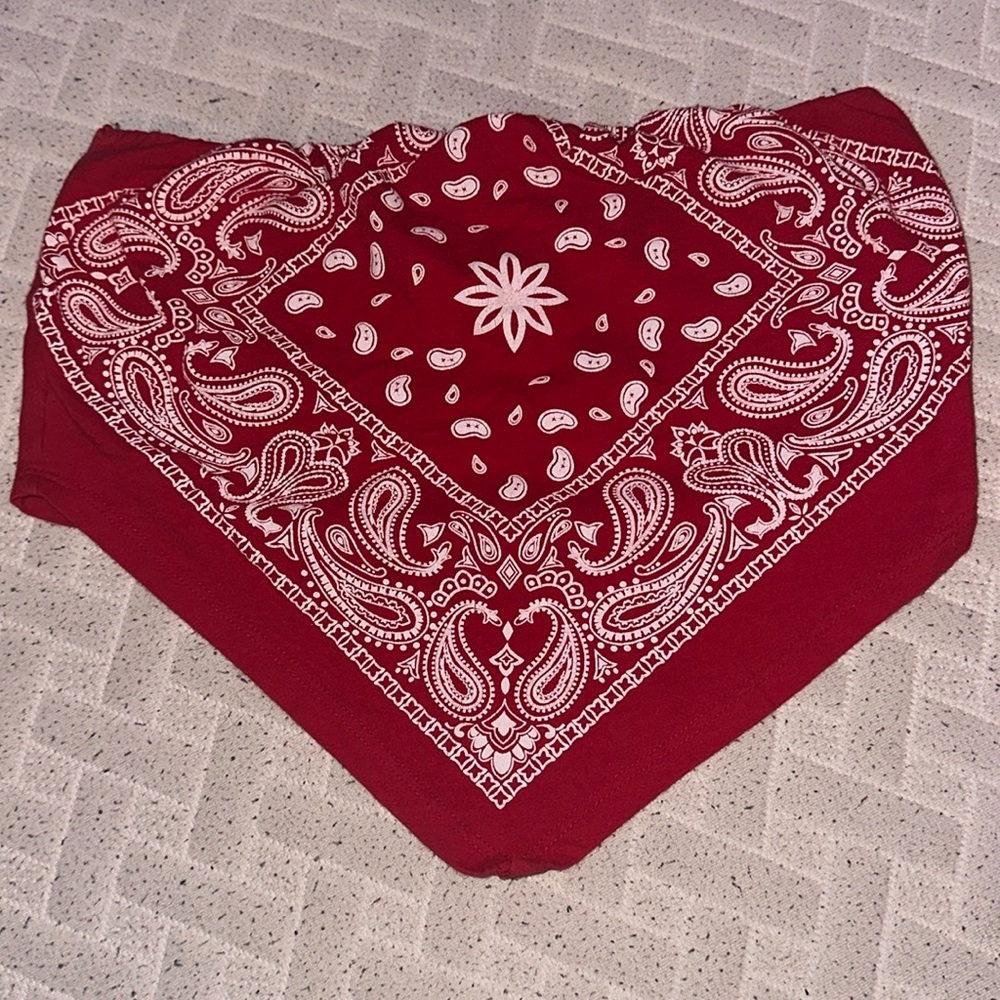 Bandana Tube Top